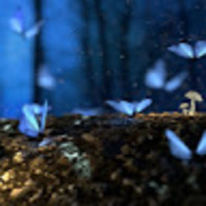 Meet your Posher, Chev